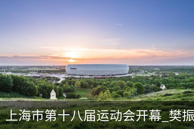 上海市第十八届运动会开幕 樊振东、吴敏霞等体坛名将助阵