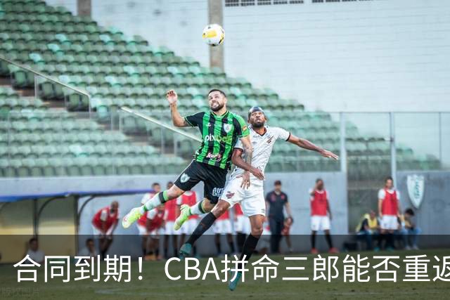 合同到期！CBA拼命三郎能否重返广东？期待辅佐徐杰、胡明轩
