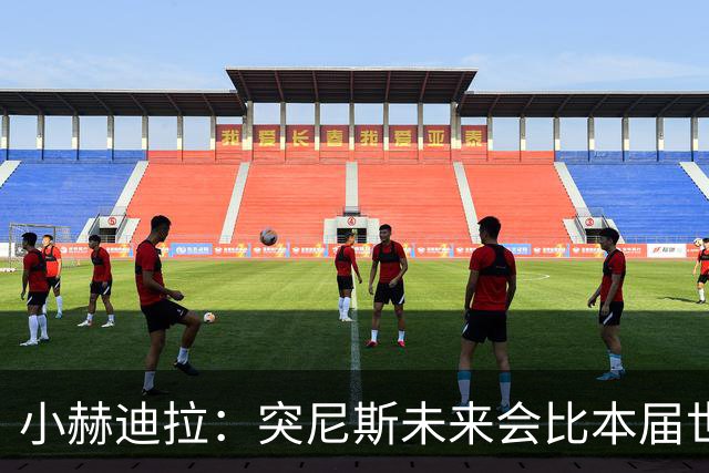 小赫迪拉：突尼斯未来会比本届世界杯更好 批评？我已经付出全力